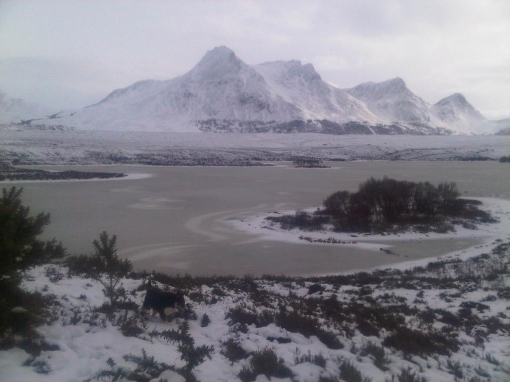 Ben Loyal Hotel Tongue Zewnętrze zdjęcie